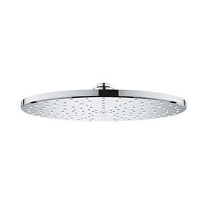 Rainshower Mono 310 (26561..0)