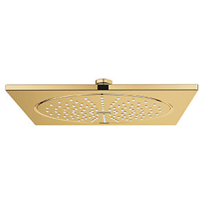 Rainshower F-Series 10
