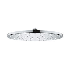 Rainshower Mono 310 (26562...)