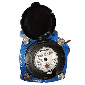Universal water meter 